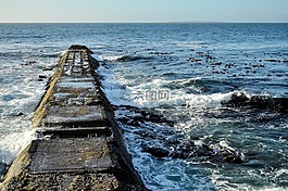 海角,南非,海洋