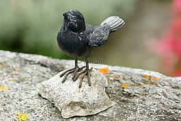 鳥(niǎo),數(shù)字,雕塑