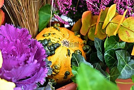 秋,裝飾,葫蘆