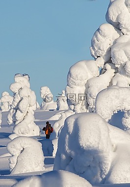 拉普蘭,冬天,雪