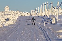 拉普蘭,冬天,雪