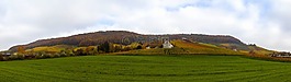 herbstlandschaft,葡萄園,性質(zhì)
