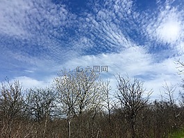 云,天空,卷云