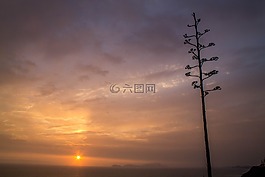 攝影,圖像,佳能