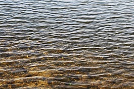 水,春天,湖