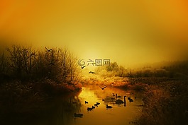 秋,鳥(niǎo),太陽(yáng)