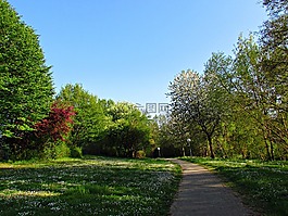 公園,胡同,春