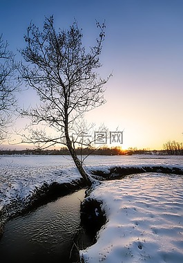 水域,性質(zhì),反射