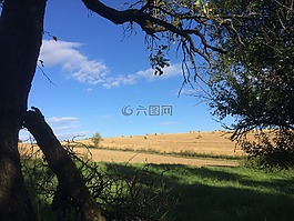 景觀,國家空,農(nóng)業(yè)