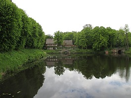 鏡像,湖,樹木