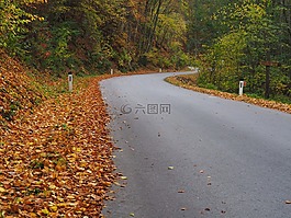 路,速度,交通