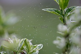 性質(zhì),web,數(shù)值調(diào)節(jié)鈕