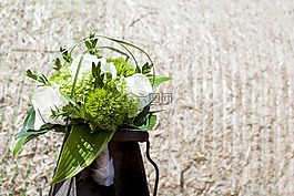 環(huán),婚禮,結(jié)婚