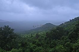 雨林,西高止山脈,mollem 國家公園