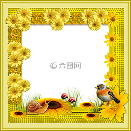 框架,鮮花,框架png