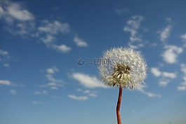 天空,云,藍(lán)色