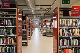 貨架,架,圖書館