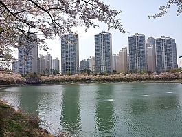 石村湖,宫湖,春天