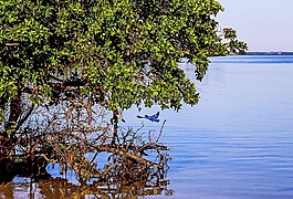 性質(zhì),景觀,海灘