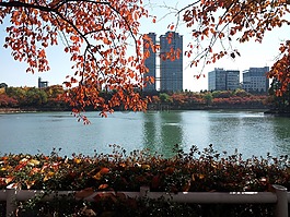 石村湖,宫湖,秋季