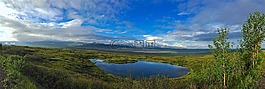 景觀,湖,戶外