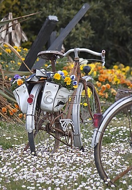 自行車(chē),鮮花,花園