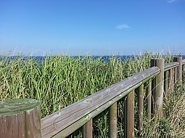 濟州,濟州島,olle 鰓