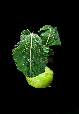 食品,蔬菜,吃