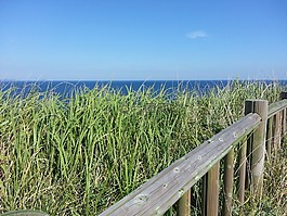濟州,濟州島,olle 鰓
