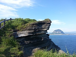 濟州,三個防御相關,olle 鰓