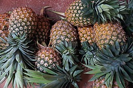 菠蘿,成熟,水果