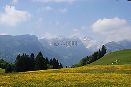 山,高山草甸,bergweide