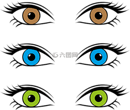 眼睛,眼睛的顏色,虹膜