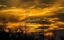 日落,黃昏,太陽