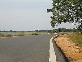 路,公路,街
