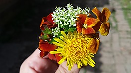鮮花,花束,夏季