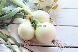 蔬菜,蔥,食品