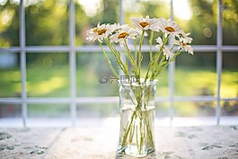 雛菊,花瓶,窗口
