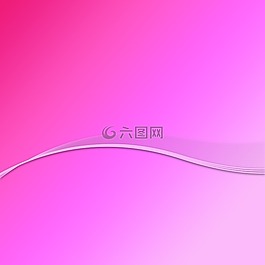 背景,玫瑰,白