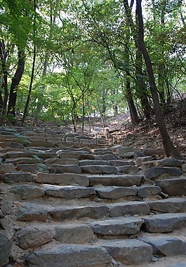 昌德宮,宮,花園