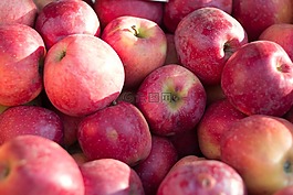 蘋果,紅色,水果