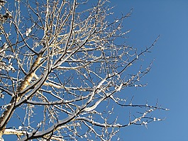 三,冬季,雪