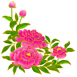 牡丹,粉色,男同