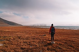 旅行,海,海洋