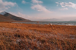 旅行,海,海洋