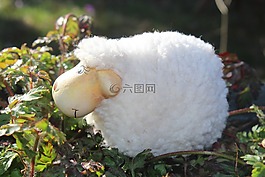 羊,數(shù)字,石數(shù)字