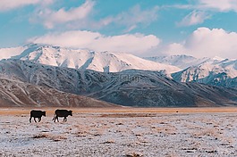 雪,天空,冬天