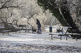 冷,冬季,雪