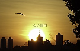 景觀,日落,城市