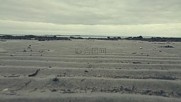 海灘,水,海洋